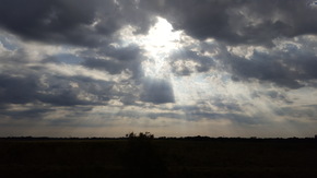 vuelos/de Bogotá a Arauca