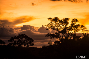 vuelos/de Bogotá a Florencia