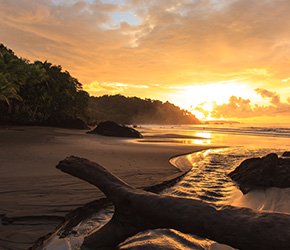 vuelos/de Medellín a Quibdó